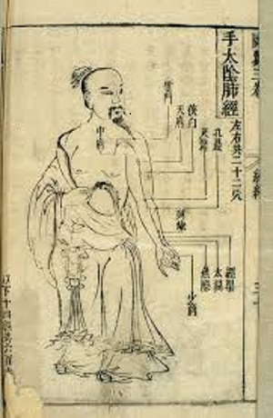 Santa Fe Acupuncture Chart