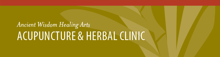 Santa Fe Regular Acupuncture Header