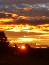 New Patient Acupuncture Forms