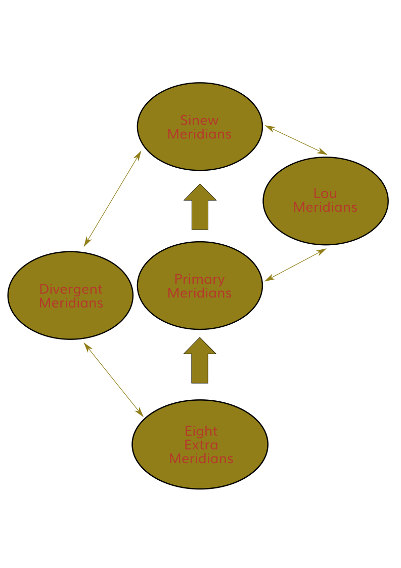 Meridans_color_dark Meridans_color_dark